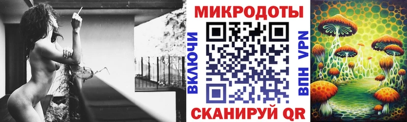 Псилоцибиновые грибы Cubensis  Купить где  Тихорецк 